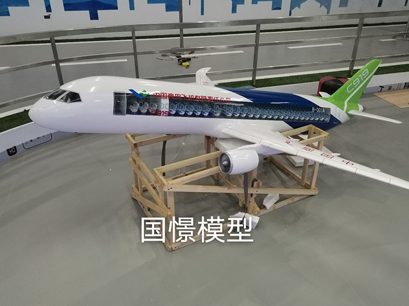 梅州飞机模型